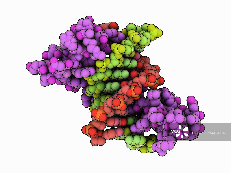 与DNA结合的锌指蛋白图片素材