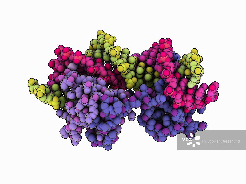 与DNA复合的交配型蛋白质图片素材