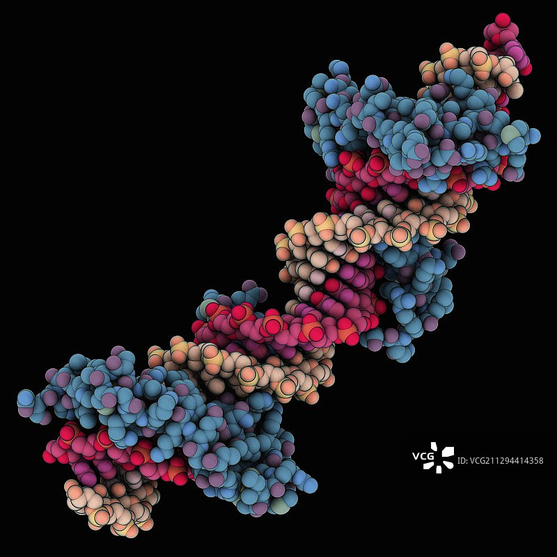 TATA盒锌指蛋白复合物图片素材
