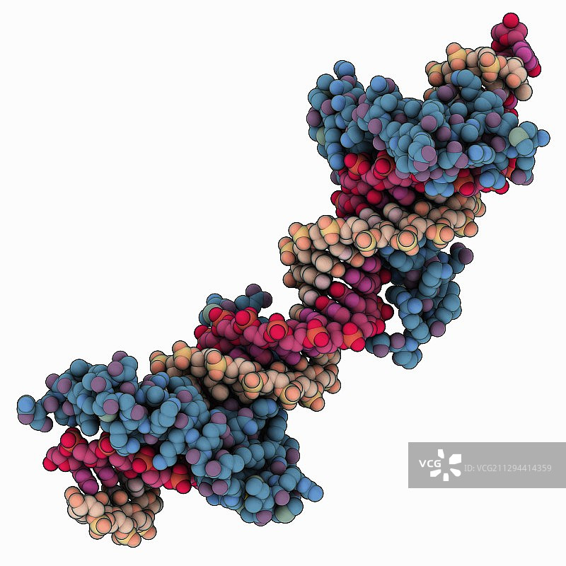 TATA盒锌指蛋白复合物图片素材