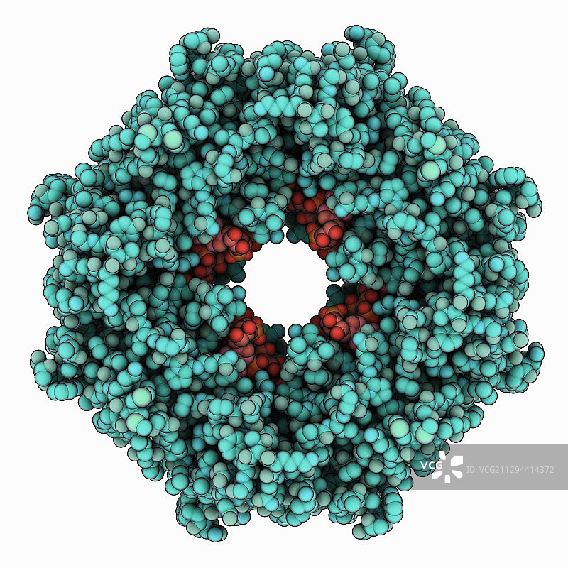 埃博拉病毒基质蛋白VP40图片素材