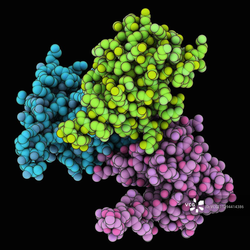三聚体HIV-1基质蛋白图片素材
