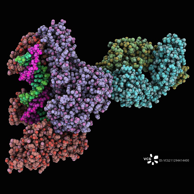HIV-1逆转录酶复合物图片素材