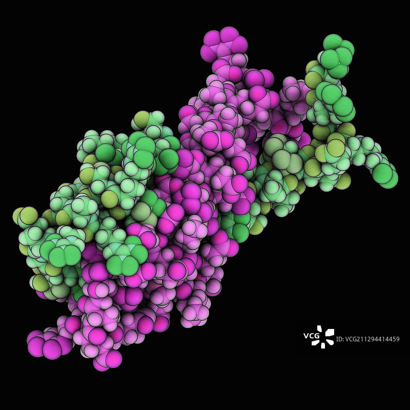 染色质结构蛋白H-NS图片素材