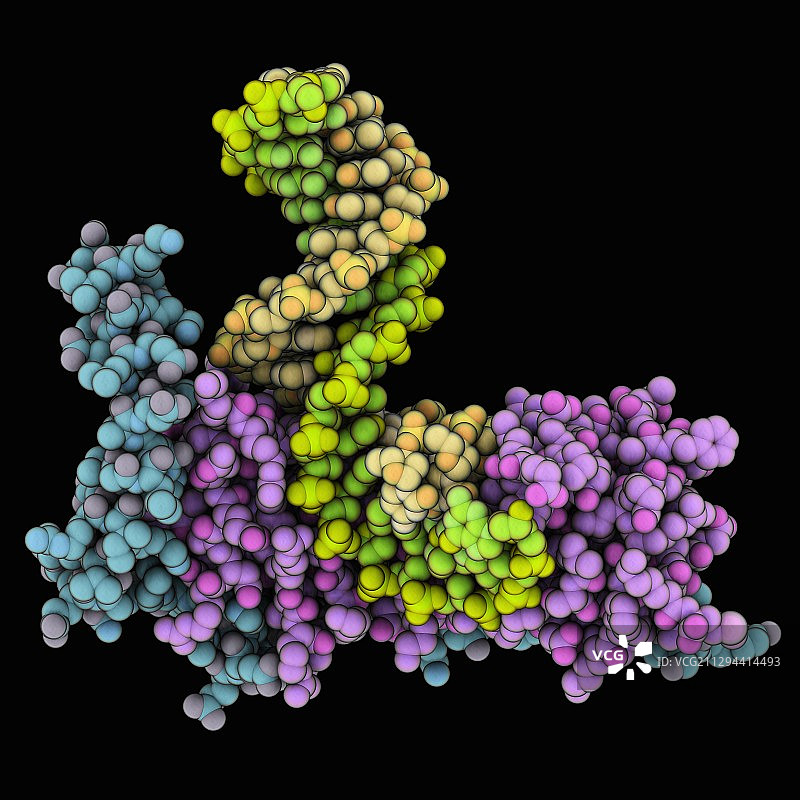 转录起始因子复合物图片素材