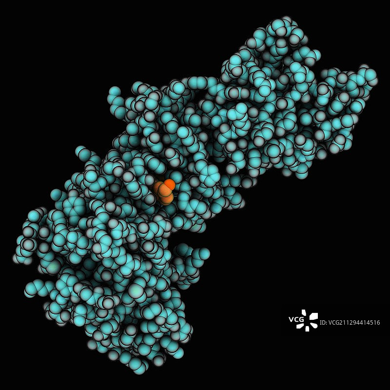 酪氨酸激酶c-Abl图片素材