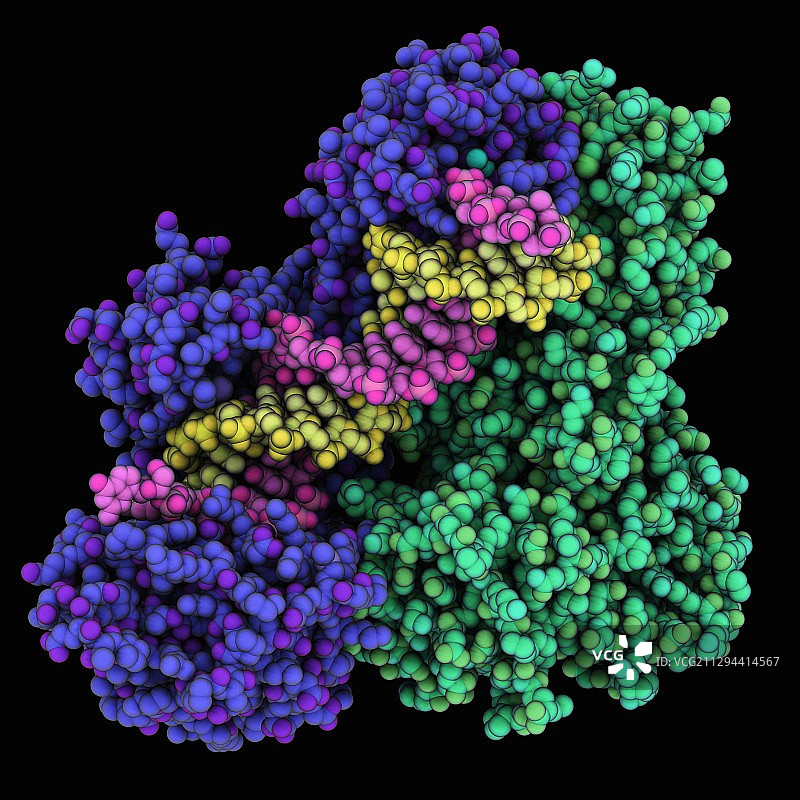 HIV-1逆转录酶复合物图片素材