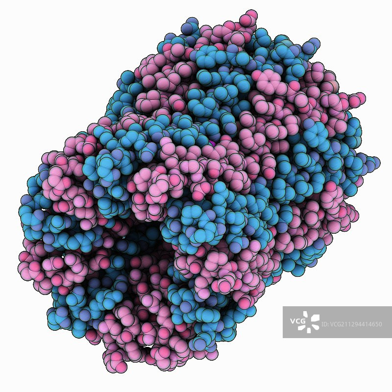 膜嵌入式转子环图片素材