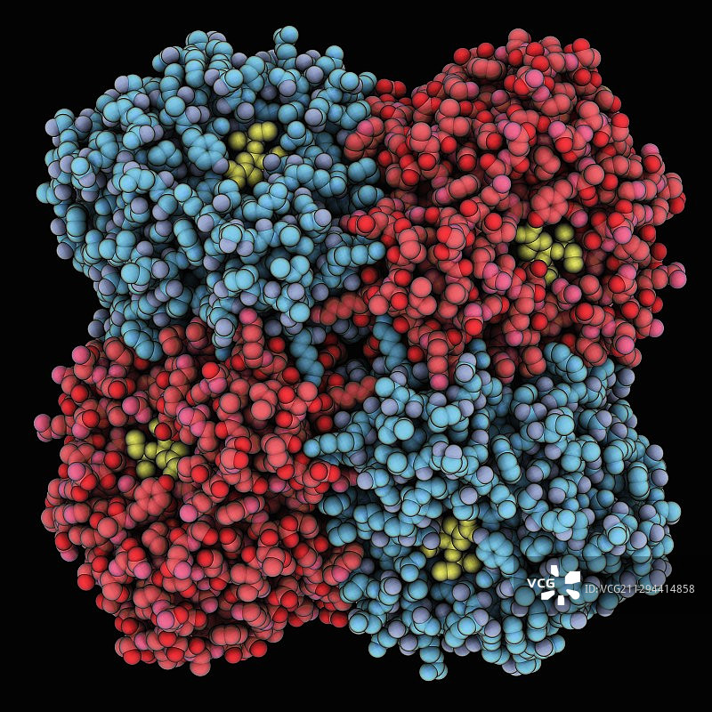 H5N1神经氨酸酶复合物图片素材