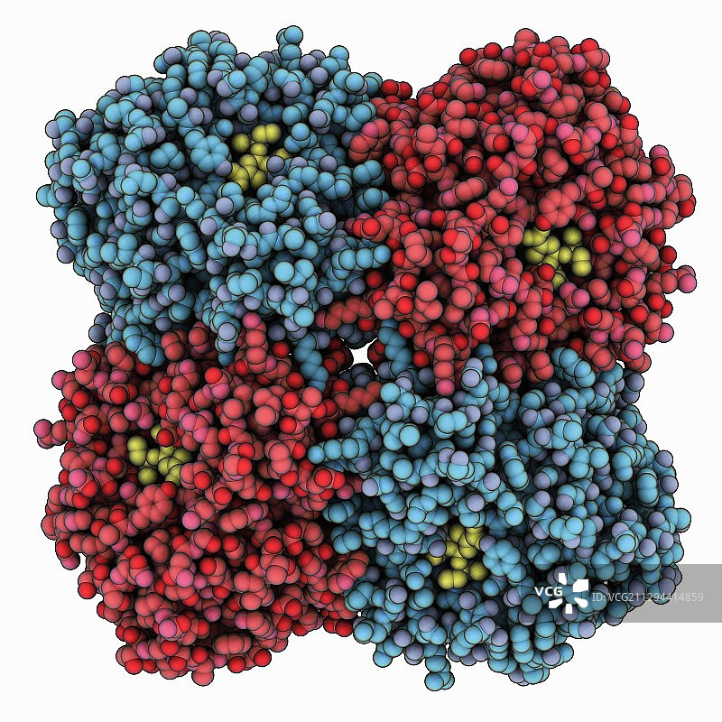 H5N1神经氨酸酶复合物图片素材