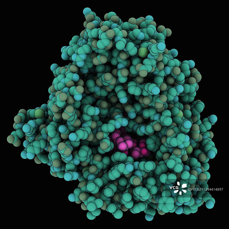 细胞色素红霉素复合物图片素材
