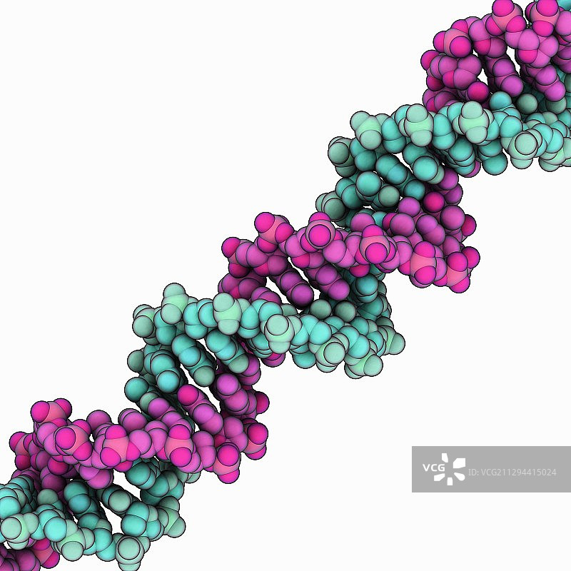 酵母DNA图片素材