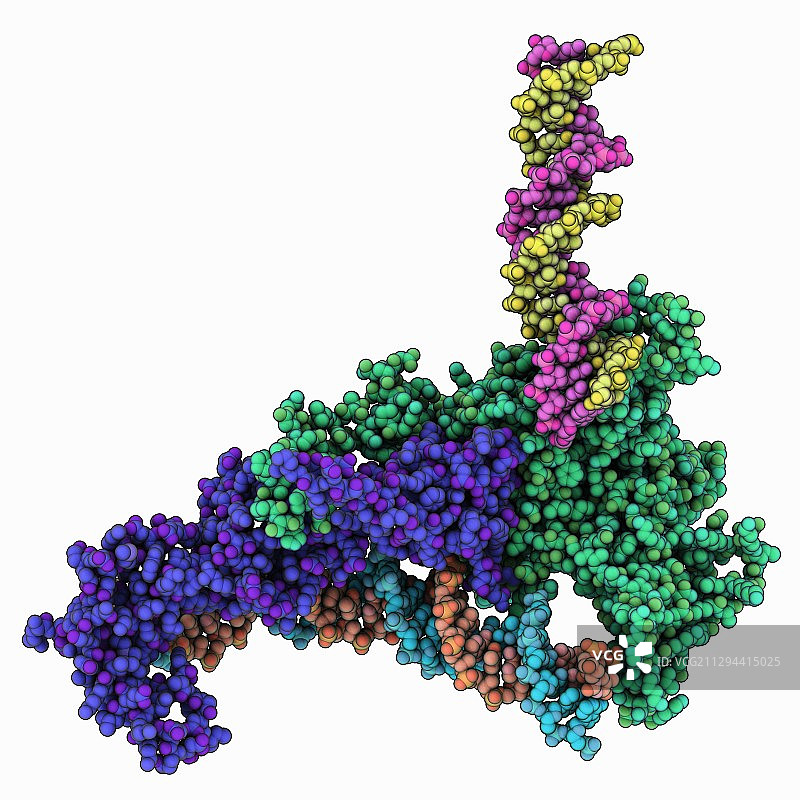染色质重塑因子复合物图片素材