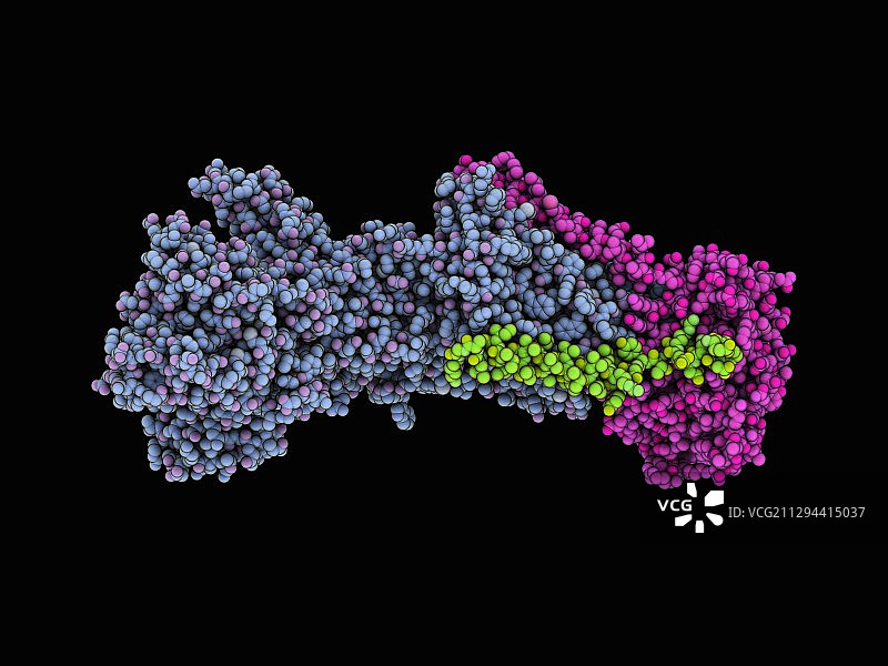 钠钾泵图片素材
