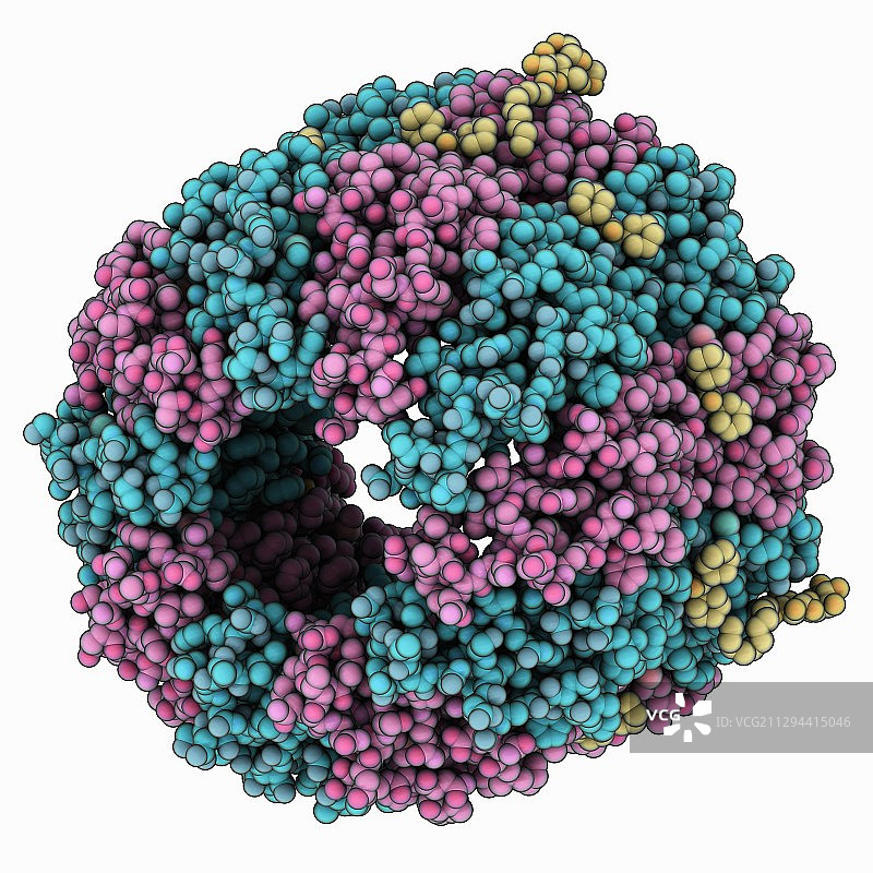 ATPase钠转运转子环图片素材