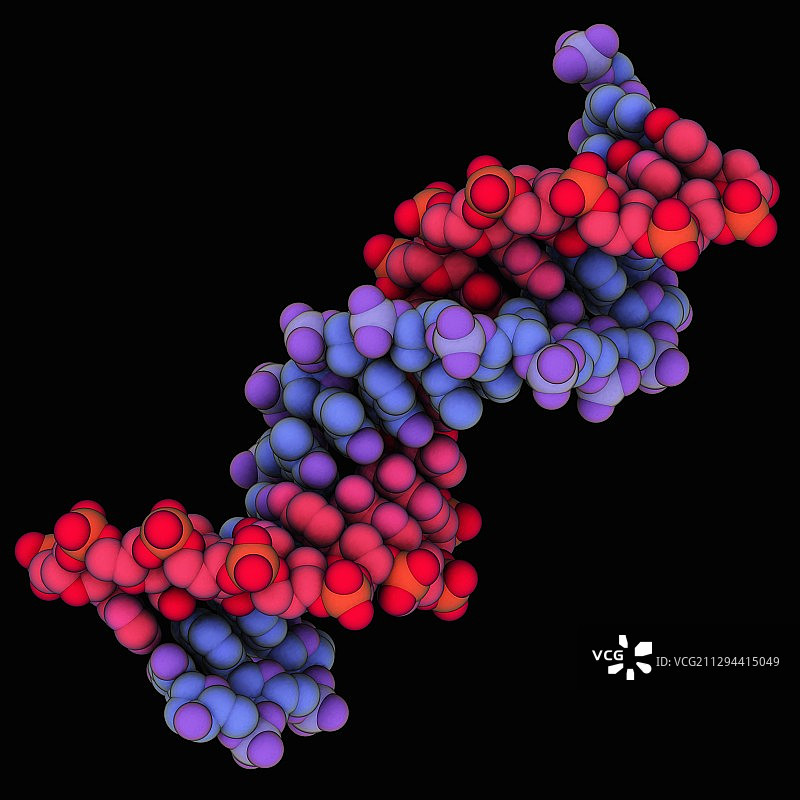 B-DNA分子图片素材