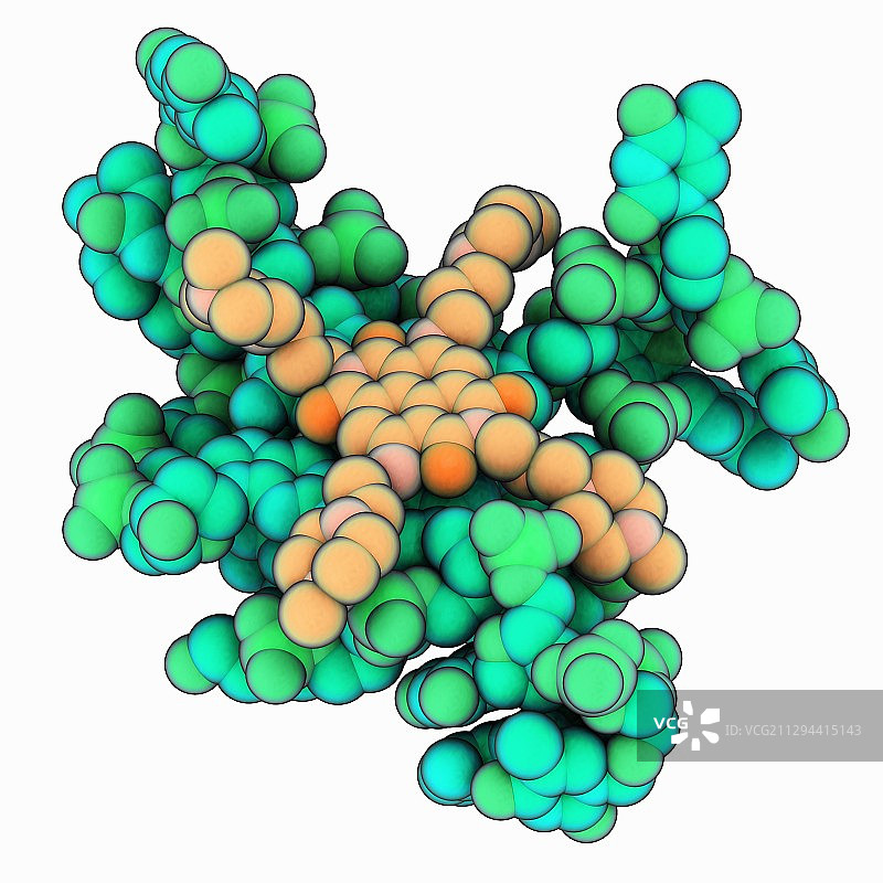 人类端粒DNA复合物图片素材