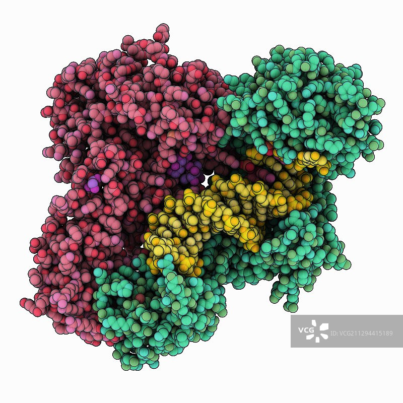 HIV-1逆转录酶复合物图片素材