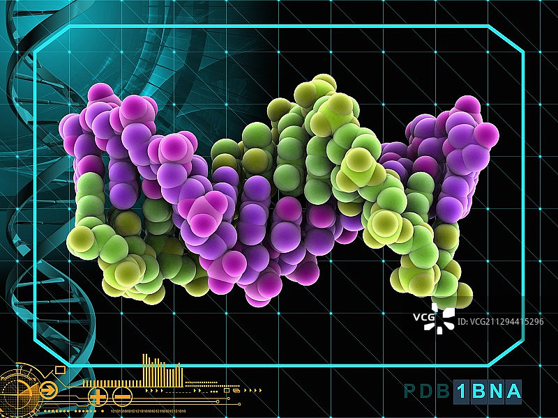 B-DNA分子图片素材