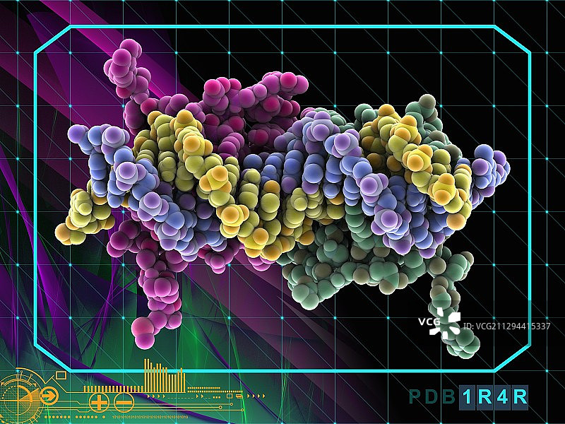 转录因子与DNA分子图片素材