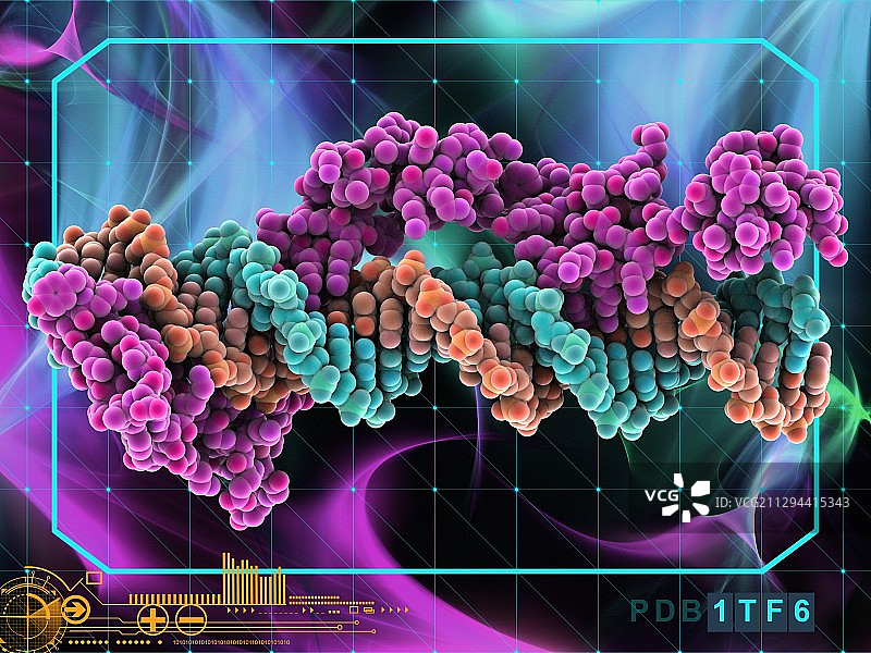转录因子和核糖体RNA图片素材