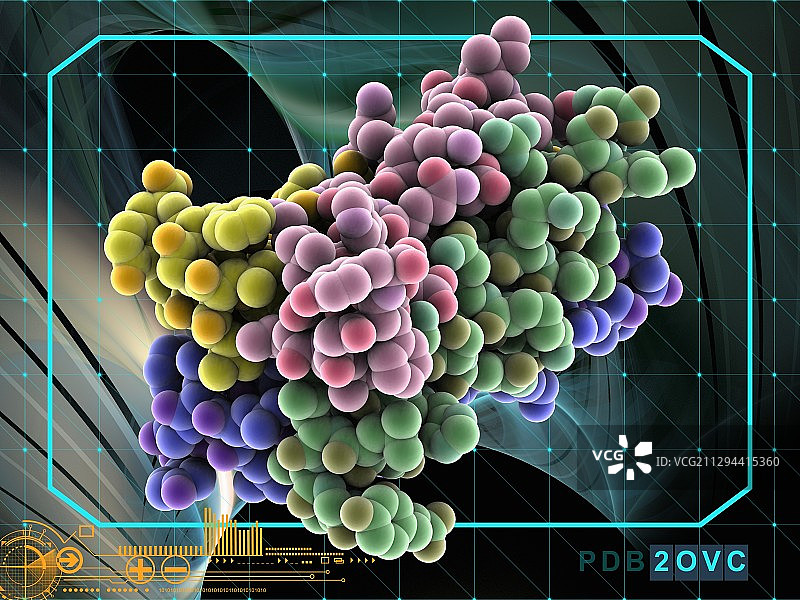 四聚钾结构域图片素材