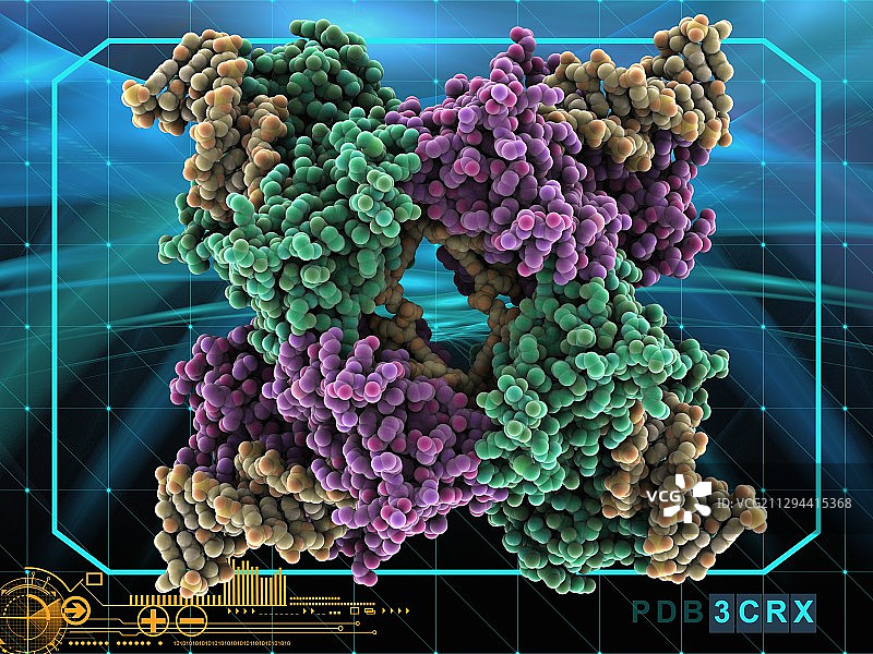 催化DNA重组的酶图片素材