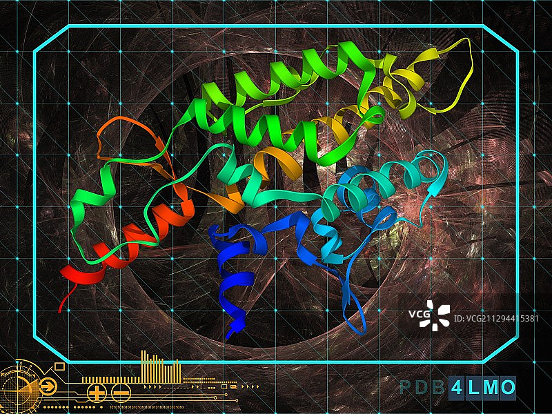 端粒酶RNA结合域图片素材