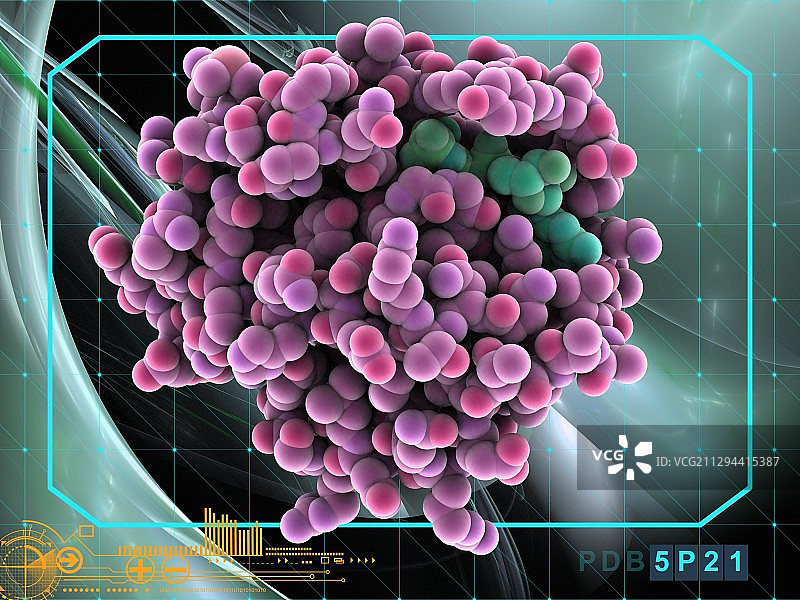 H-Ras p21癌基因蛋白图片素材