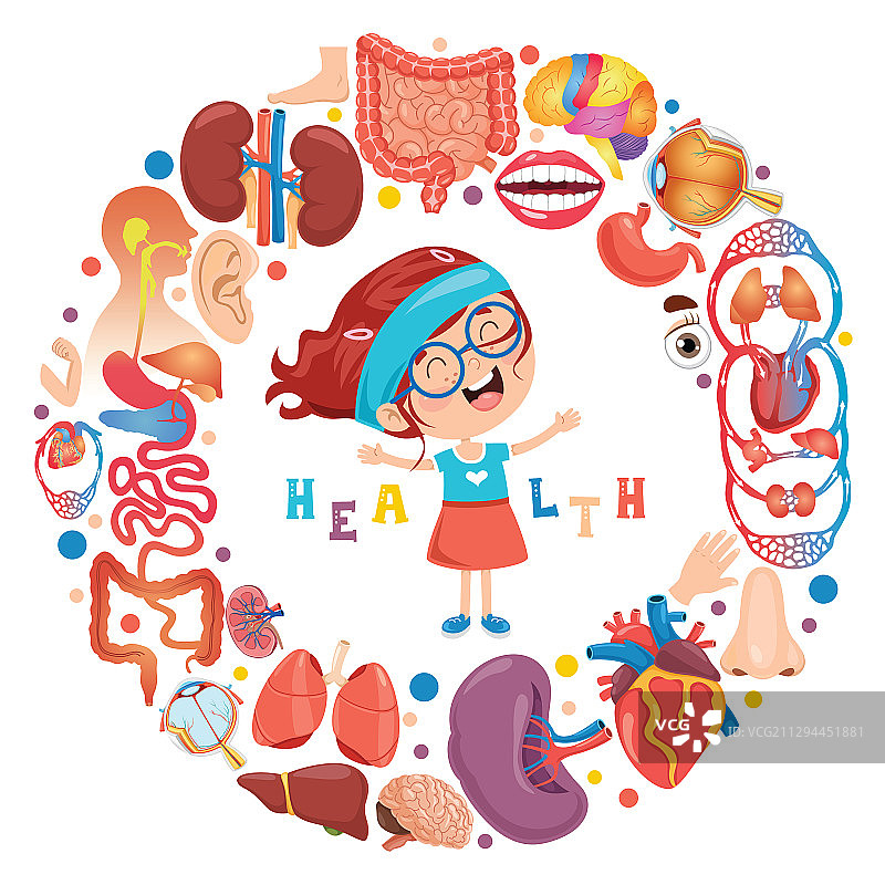 人体器官图片素材