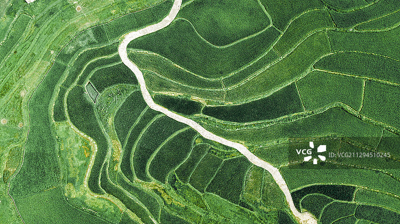 大地纹理图片素材