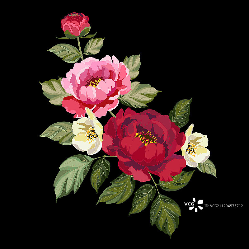 装饰牡丹图片素材