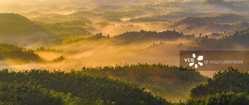 晨雾氲氤竹海秀＋宜宾市长宁县蜀南竹海图片素材