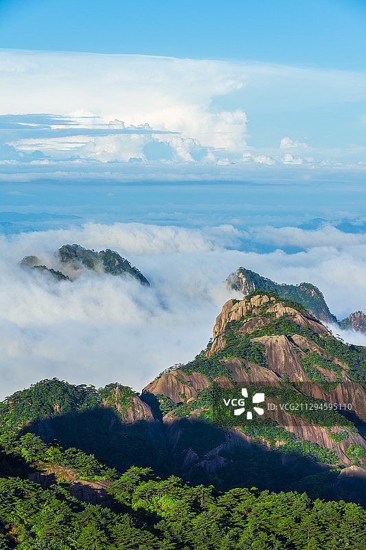 晨光下的黄山图片素材