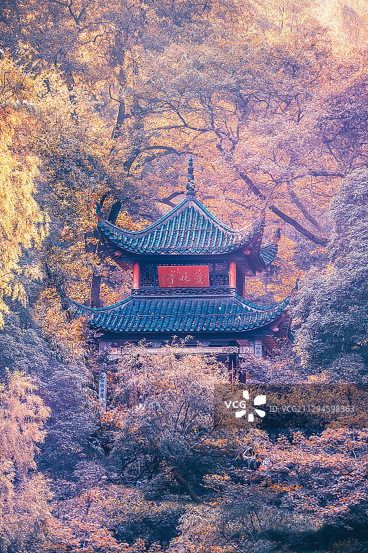 爱晚亭秋色图片素材
