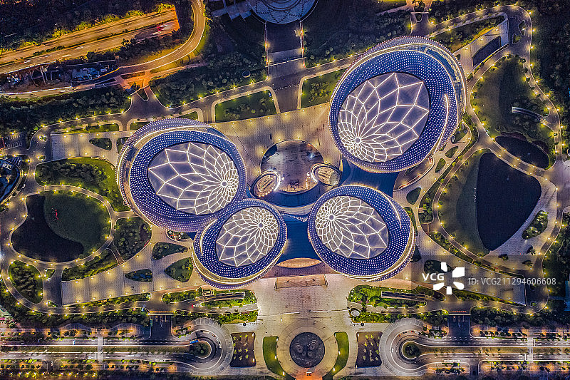 绚丽的蝴蝶图片素材