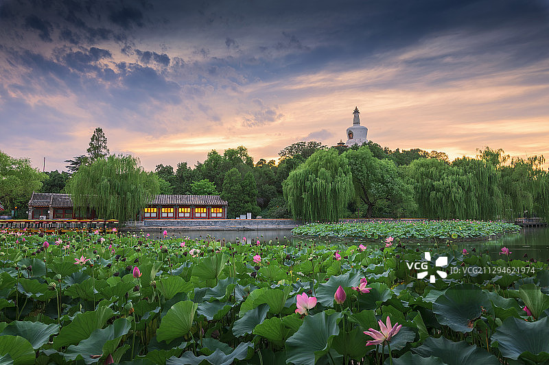 北海之夏图片素材