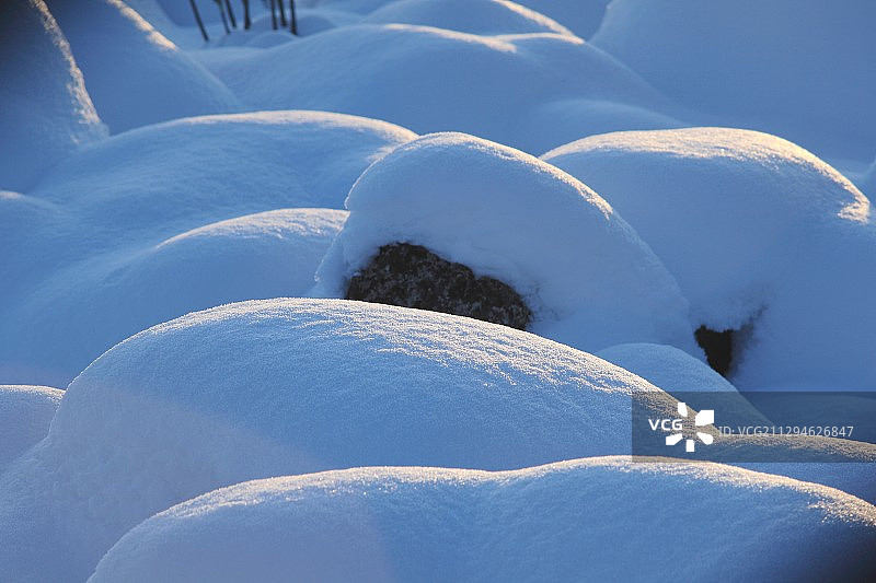 中国黑龙江库尔滨雾凇图片素材