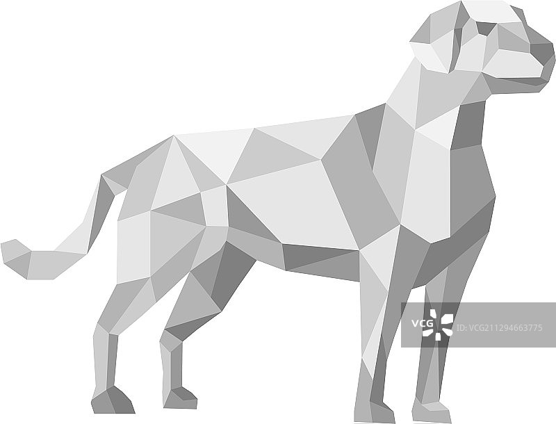 站立的低多边形拉布拉多犬图片素材