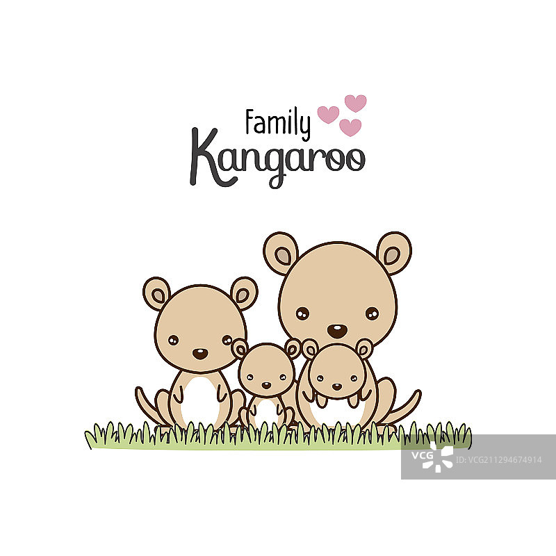 袋鼠一家：父亲、母亲和新生儿图片素材