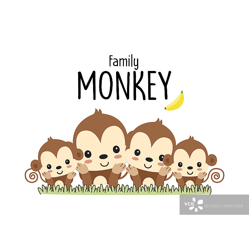 猴子家庭：父亲、母亲和宝宝图片素材