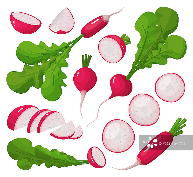 红色小萝卜卡通图标集图片素材