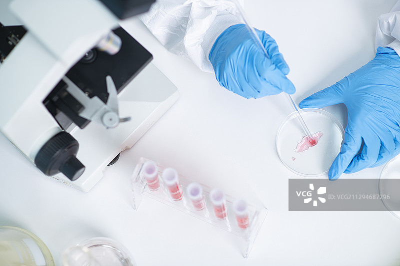 科学、化学、生物学和医学概念131图片素材