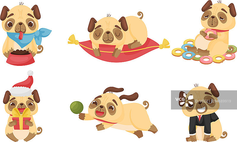 可爱巴哥犬幼犬吃甜甜圈图片素材