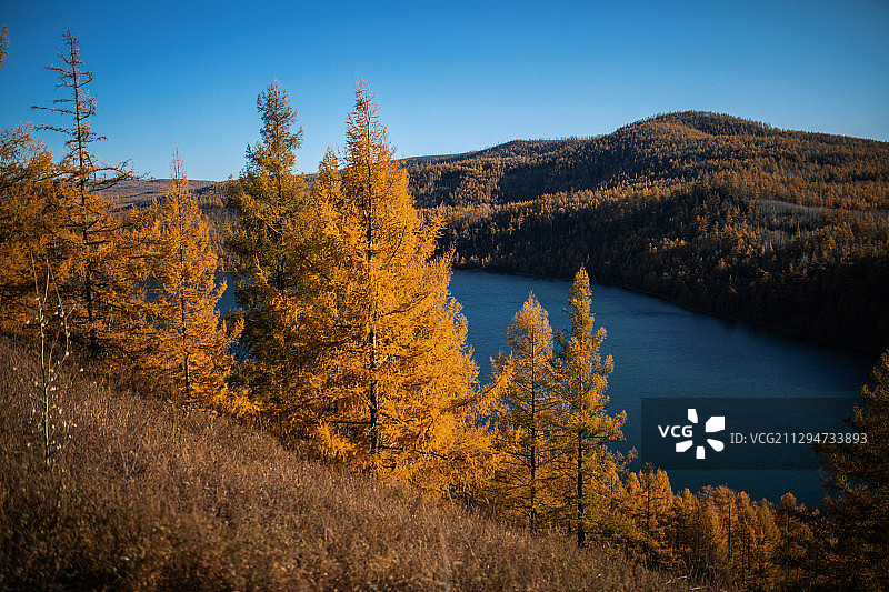 阿尔山图片素材