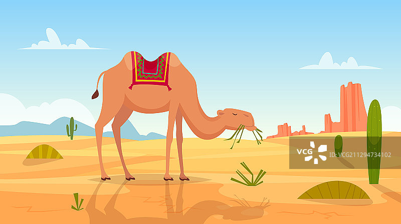 非洲沙漠景观背景图片素材