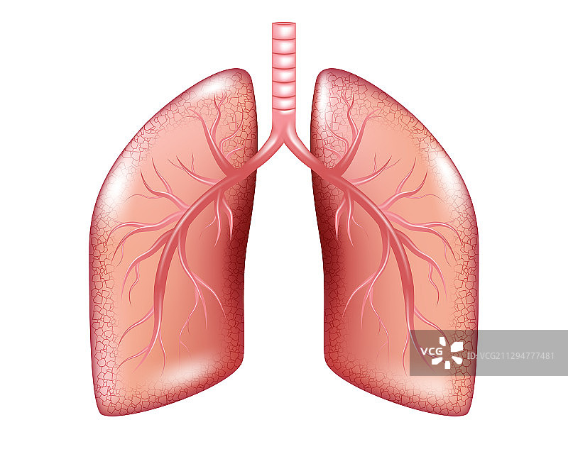 人类肺癌呼吸系统图图片素材