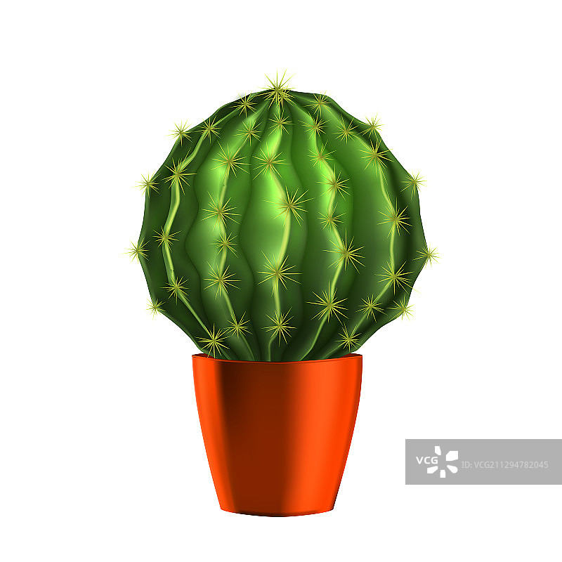 种植在橙色盆中的仙人掌多肉植物图片素材