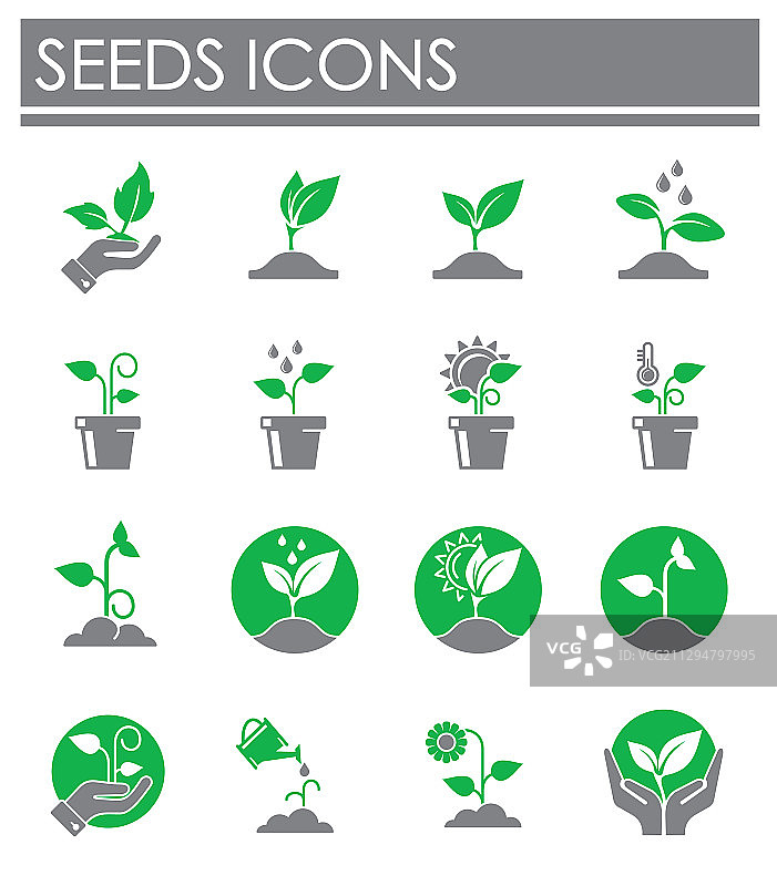 图形背景上的种子相关图标集图片素材