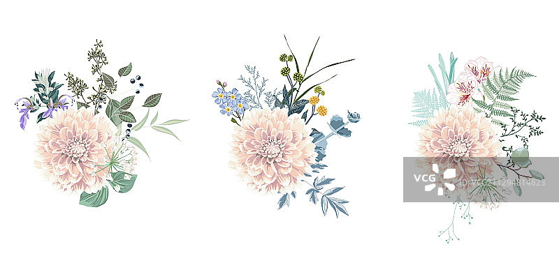 秋季白色大丽花百合花草图片素材